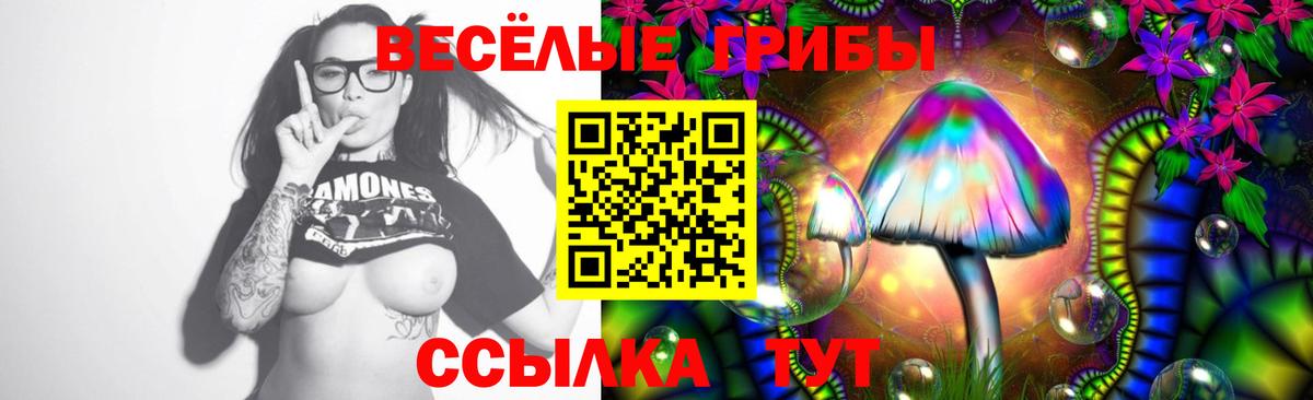 Псилоцибиновые грибы мухоморы Жуковский